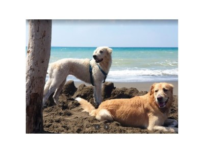 Holiday house Rosmarino - Environment photo 36