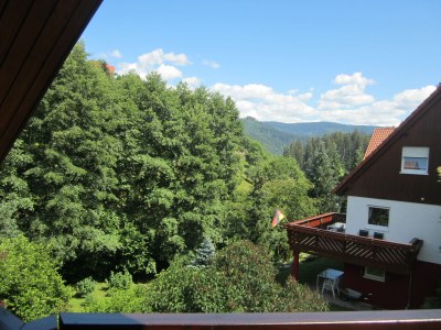 Holiday apartment Auf den Wiesen - Outdoor photo 3