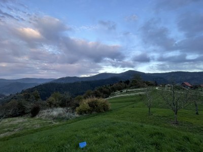 Holiday apartment Auf den Wiesen - Environment photo 12