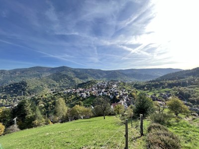 Holiday apartment Auf den Wiesen - Environment photo 14