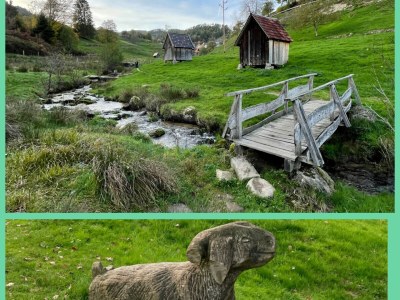 Holiday apartment Auf den Wiesen - Environment photo 15