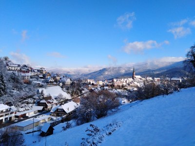 Holiday apartment Auf den Wiesen - Environment photo 17