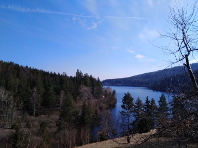 Holiday apartment Auf den Wiesen - Environment photo 18