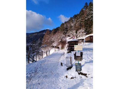 Holiday apartment Auf den Wiesen - Environment photo 19