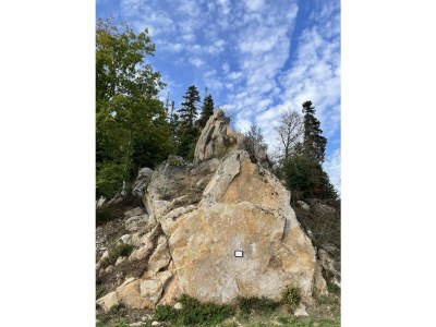 Holiday apartment Auf den Wiesen - Environment photo 21