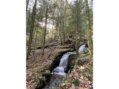 Holiday apartment Auf den Wiesen - Environment photo 23