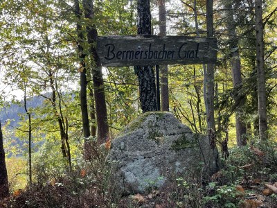 Holiday apartment Auf den Wiesen - Environment photo 24