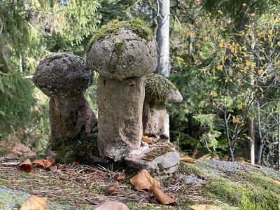 Holiday apartment Auf den Wiesen - Environment photo 25