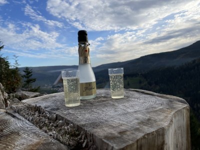 Holiday apartment Auf den Wiesen - Environment photo 26