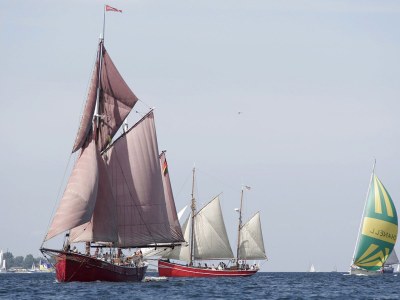 Holiday apartment Lutterbek - Environment photo 15