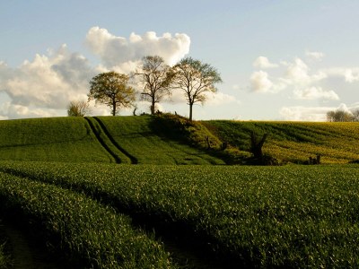 Holiday apartment Lutterbek - Environment photo 17