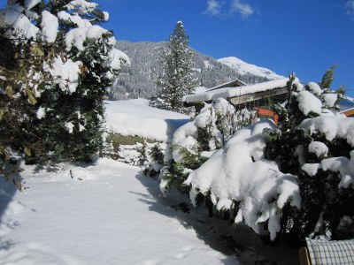 Holiday apartment Edelweiss im house Waltl, Oberkrimml 40 - Outdoor photo 3