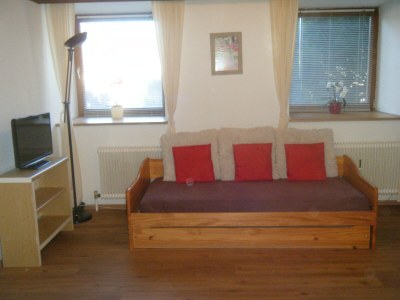 Holiday apartment Edelweiss im house Waltl, Oberkrimml 40 - Outdoor photo 6