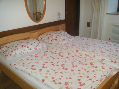 Holiday apartment Edelweiss im house Waltl, Oberkrimml 40 - Outdoor photo 10