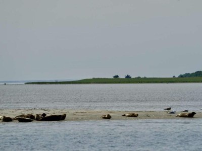 Holiday house 6 person holiday home in Hadsund - Outdoor photo 18