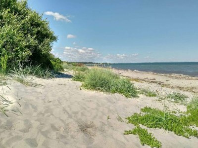 Holiday house 6 person holiday home in Hadsund - Outdoor photo 32