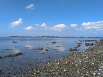 Holiday house 5 person holiday home in Jægerspris-By Traum - Outdoor photo 19