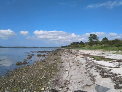 Holiday house 5 person holiday home in Jægerspris-By Traum - Outdoor photo 35