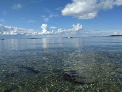 Holiday house 5 person holiday home in Jægerspris-By Traum - Outdoor photo 50