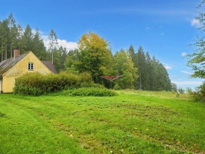 Holiday house Ferienhaus am See mit Wald - Outdoor photo 10