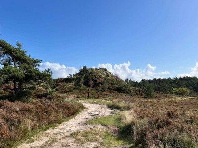Holiday house 6 Personen Ferienhaus in Rømø-By Traum - Outdoor photo 7