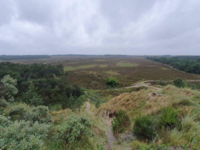 Holiday house 6 Personen Ferienhaus in Rømø-By Traum - Outdoor photo 12