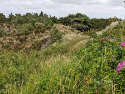 Holiday house 6 Personen Ferienhaus in Rømø-By Traum - Outdoor photo 13
