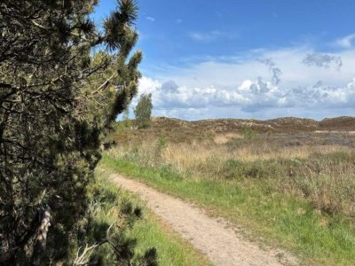 Holiday house 6 Personen Ferienhaus in Rømø-By Traum - Outdoor photo 14