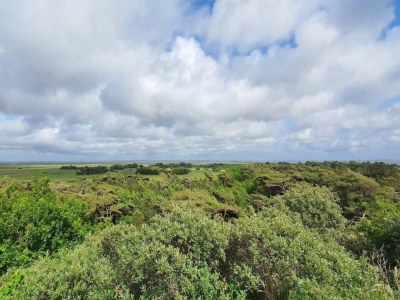 Holiday house 6 Personen Ferienhaus in Rømø-By Traum - Outdoor photo 15