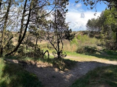 Holiday house 6 Personen Ferienhaus in Rømø-By Traum - Outdoor photo 16