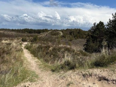 Holiday house 6 Personen Ferienhaus in Rømø-By Traum - Outdoor photo 17