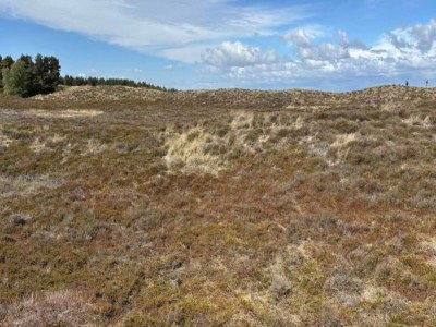 Holiday house 6 Personen Ferienhaus in Rømø-By Traum - Outdoor photo 18