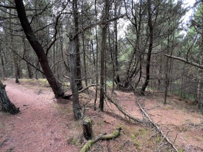 Holiday house 6 Personen Ferienhaus in Rømø-By Traum - Outdoor photo 20