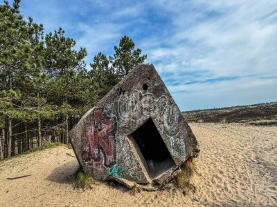 Holiday house 6 Personen Ferienhaus in Rømø-By Traum - Outdoor photo 22