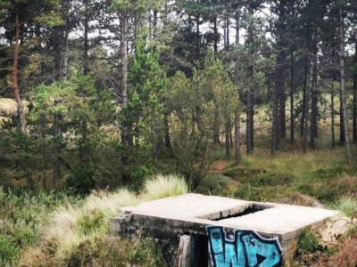 Holiday house 6 Personen Ferienhaus in Rømø-By Traum - Outdoor photo 23