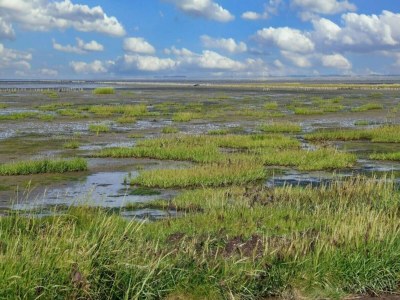 Holiday house 6 Personen Ferienhaus in Rømø-By Traum - Outdoor photo 25