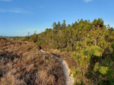 Holiday house 6 Personen Ferienhaus in Rømø-By Traum - Outdoor photo 37