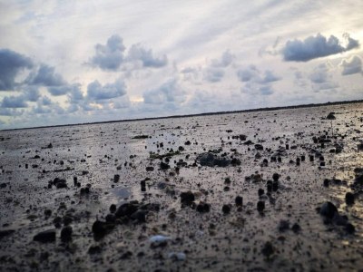 Holiday house 6 Personen Ferienhaus in Rømø-By Traum - Outdoor photo 38