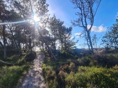 Holiday house 6 Personen Ferienhaus in Rømø-By Traum - Outdoor photo 39