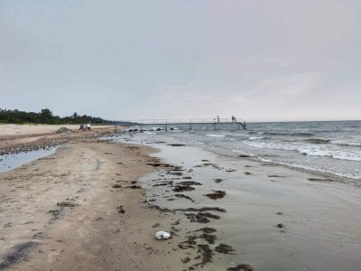 Holiday house 4 person holiday home in Gilleleje-By Traum - Outdoor photo 39