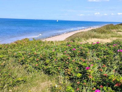 Holiday house 4 person holiday home in Gilleleje-By Traum - Outdoor photo 45