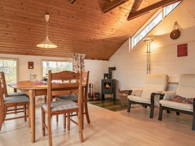 Holiday house 4 Personen Ferienhaus in Hals-By Traum - Outdoor photo 27