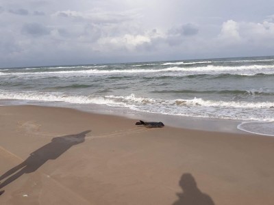 Holiday house 7 Personen Ferienhaus in Hjørring-By Traum - Outdoor photo 35