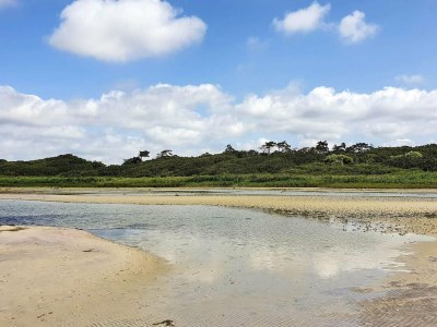 Holiday house 6 person holiday home in Jægerspris-By Traum - Outdoor photo 23
