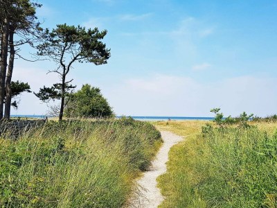 Holiday house 6 person holiday home in Jægerspris-By Traum - Outdoor photo 24