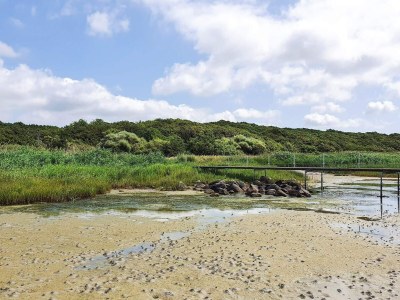 Holiday house 6 person holiday home in Jægerspris-By Traum - Outdoor photo 25