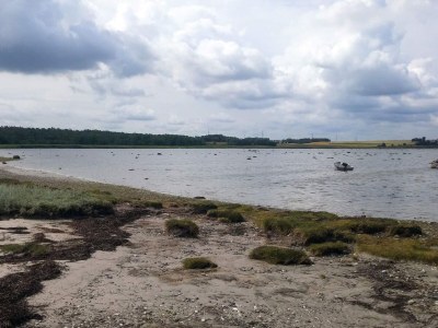 Holiday house 6 person holiday home in Jægerspris-By Traum - Outdoor photo 35