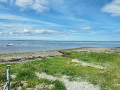 Holiday house 6 person holiday home in Jægerspris-By Traum - Outdoor photo 38