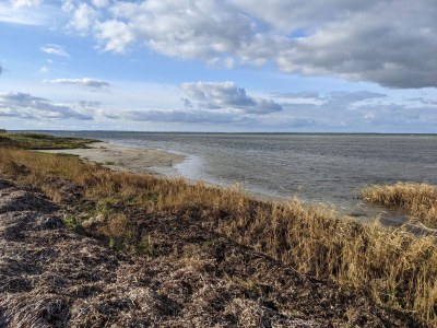 Holiday house 6 person holiday home in Jægerspris-By Traum - Outdoor photo 40