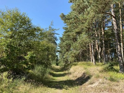Holiday house 8 Personen Ferienhaus in Hadsund-By Traum - Outdoor photo 49
